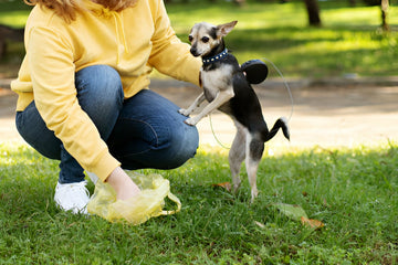 Are Your Poop Bags Too Thin? What Every Pet Parent Must Know