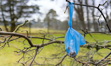 Dog Waste and City Life-Historical Challenges and Modern Responses