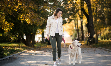 Stress-Free Walks: Choosing the Best Dog Poop Bags for UK Parks