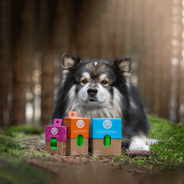 Post-Consumer Recycled Bags (PCR) For Dogs