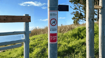 Dog Poop Laws Around the World – Fines, Penalties and How Countries Enforce Them