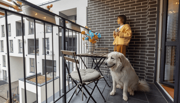 Best Dog Breeds for Apartment Living