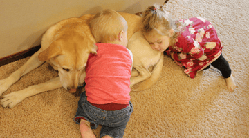 Dogs and Children: Is It Safe to Live Together? Pros, Cons, and Safety Tips