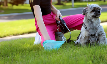 Biodegradable Dog Poop Bags Keep Your Backyard Safe