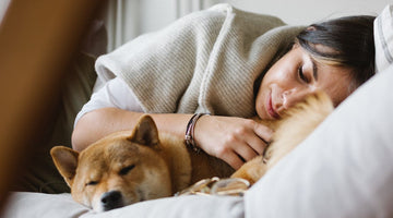 Is Sleeping with your Dog a Good Idea?