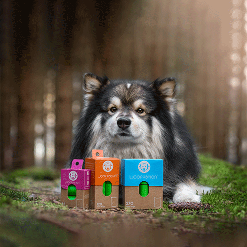Post-Consumer Recycled Bags (PCR) For Dogs