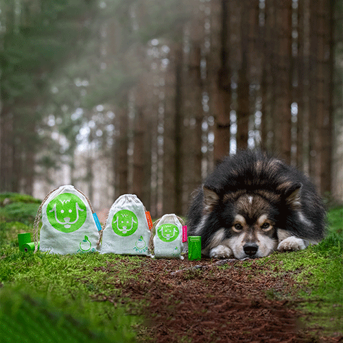 100% Home Compostable Bags For Dogs